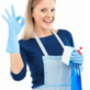 The Cleaning Girl Inc Wilmington in Wilmington, DE Cleaning Services Household & Commercial