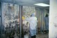 Mold Remediation Company Davie FL in Davie, FL Commercial & Industrial Cleaning Services