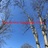 Tree Service Champaign IL Pros in Champaign, IL