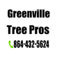 Greenville Tree Pros in Greenville, SC Lawn & Tree Service