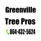 Lawn & Tree Service in Greenville, SC 29609