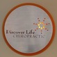 Discover Life Chiropractic in Loveland, CO Chiropractor