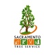 Sacramento Tree Service in East Sacramento - Sacramento, CA Tree Services