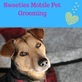 Sweeties Mobile Pet Grooming in Miami, FL Pets & Animals - Fish