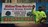 Aldine Tree Services Houston Stump Grinding in Houston, TX