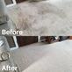 Carpet Cleaning Richmond TX in Richmond, TX Carpet & Carpet Equipment & Supplies Dealers