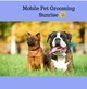 Mobile Pet Grooming Sunrise in Sunrise, FL Pet Care Services