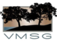 Veterinary Medical and Surgical Group in Ventura, CA Veterinarians