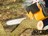 Top Notch Greenwich Tree Service in Greenwich, CT