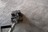 Best Carpet Cleaning Cary NC in Cary, NC