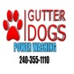 GUTTERDOGS Affordable Soft Power Washing & Safe Roof Cleaning Maryland in Forestville, MD Auto Steam Cleaning
