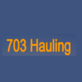 703 Hauling, in Great Falls, VA Covan Movers