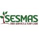 Sesmas Tree Service in Suwanee, GA Lawn & Tree Service