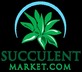 Succulent Market in Vista, CA Agriculture