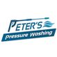 Peters Pressure Washing in Riverview, FL Auto Steam Cleaning
