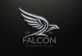 Falcon for Travel in Raleigh, NC General Travel Agents & Agencies