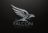 Falcon for travel in Raleigh, NC 27601 General Travel Agents & Agencies