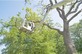 Manchester Tree Service in Manchester, CT Stump & Tree Removal