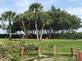 Tree Services in Plant City, FL 33563