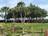 Joe's Tree Service in Plant City, FL