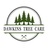 Dawkins Tree Care in Tenino, WA 98589 Lawn & Tree Service