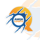 Amqa Experts in Anchorage, AK Computer Software