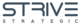 Strive Strategic in Rochester, MI Business Management Consultants