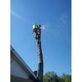 Clayton's Quality Tree Service in Deltona, FL Tree Services