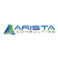Arista Consulting in Canton, MI Information Technology Services
