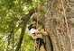 Tree Services in Colbert, GA 30628