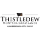 Thistledew Land & Cattle in Joliet, MT Real Estate