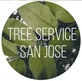 Tree Service San Jose in San Jose, CA Tree Services