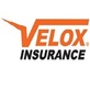 Velox Insurance in Hampton, GA Insurance Services