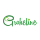 Groheline CBD in Denver, CO Blood Related Health Services