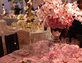 The Wedding Salon - Wedding Guide and Wedding Inspiration in Chicago, IL Wedding & Bridal Services