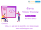 Java Online Training Texas in Irving, TX Education