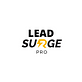 Lead Surge Pro in Chicago, IL Web Site Design & Development