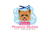 Phoenix Mobile Pet Grooming in Phoenix, AZ 85016 Pet Grooming - Services & Supplies
