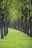 Natura Tree Services in Parrish, FL