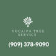 Yucaipa Tree Service in Yucaipa, CA Tree Services