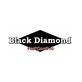 Black Diamond Pest Control in Worthington, KY Disinfecting & Pest Control Services