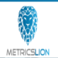 MetricsLion in Miami, FL Marketing