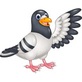 Pigeon Control Phoenix in Phoenix, AZ Bird Control & Removal Services