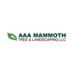 Aaa Mammoth Tree & Landscaping in Tucson, AZ Landscaping