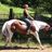 The Riding Stable LLC  in Lakeville, IN 46536 Horse Riding Stables