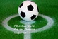 Fifa World Cup in Opa Locka, FL Aerial Tours, Shows & Sports