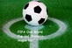 FIFA world cup in Opa Locka, FL Aerial Tours, Shows & Sports