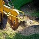 Tree Stump Removal Jacksonville in Atlantic Beach, FL Tree Service Equipment