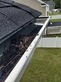 Houston Gutter Cleaning in Houston, TX Gutters & Downspout Cleaning & Repairing