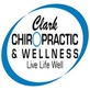 Clark Chiropractic & Wellness in Kingwood, TX Chiropractor